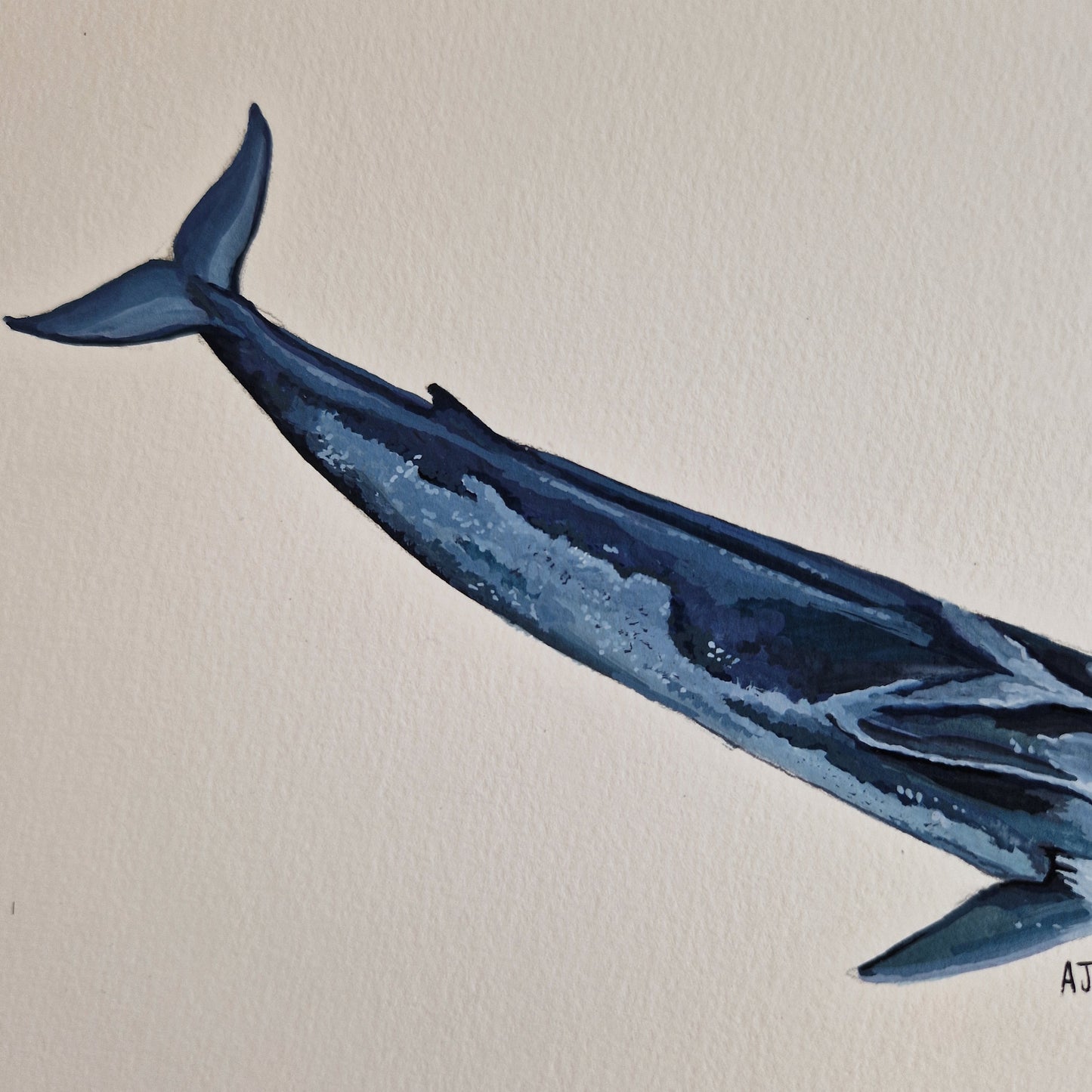 Fin Whale Original Painting