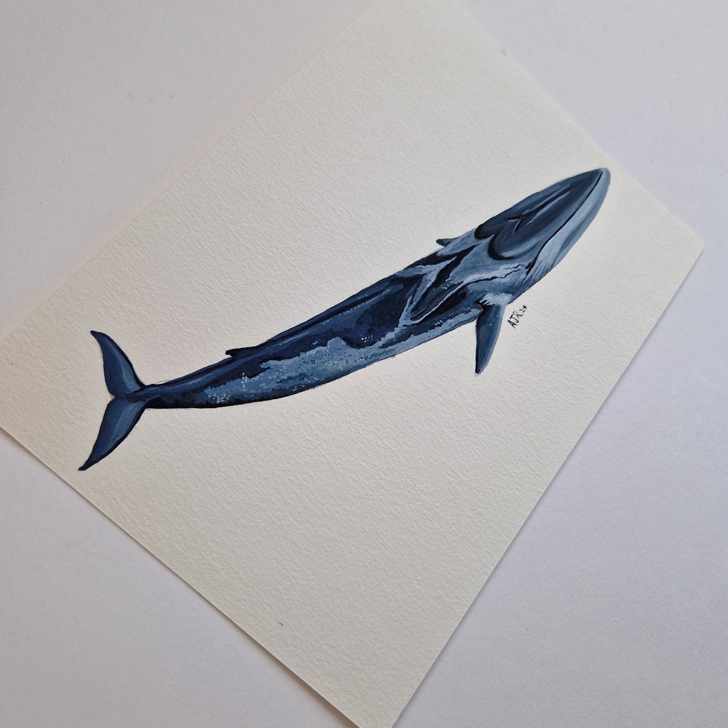 Fin Whale Original Painting