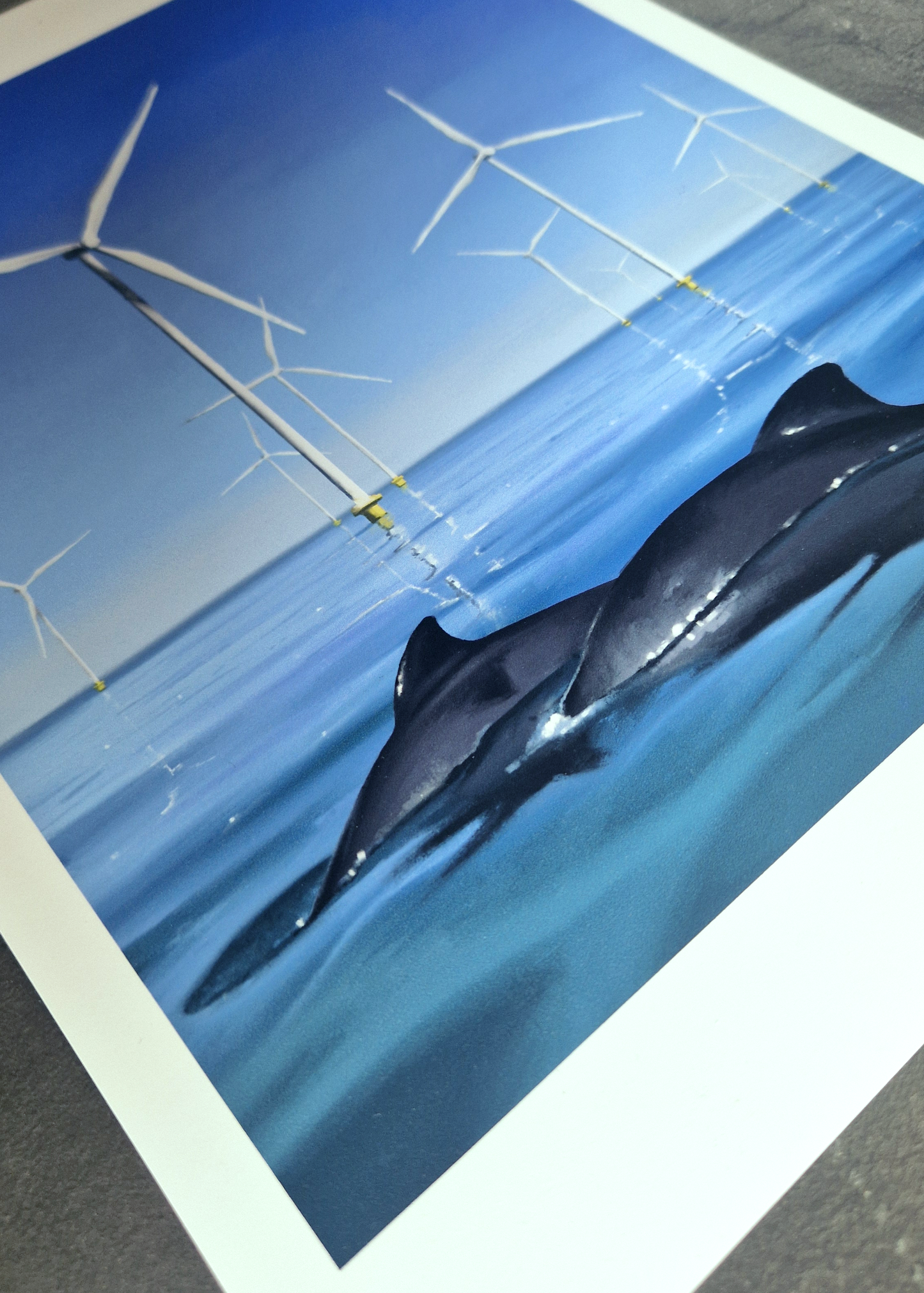 Harbour Porpoises and Turbines A4 Print Preorder