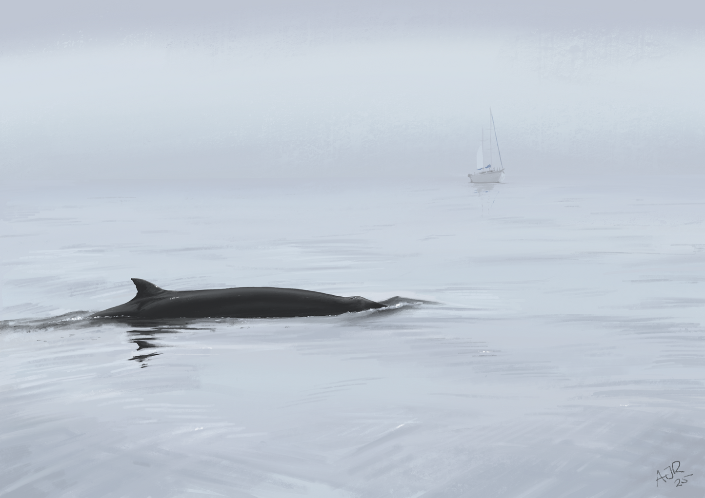 Minke Whale A4 Print Preorder