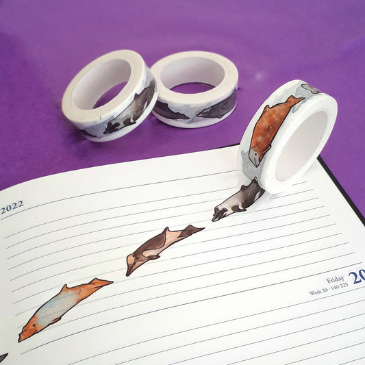 Beaked Whale Washi Tape