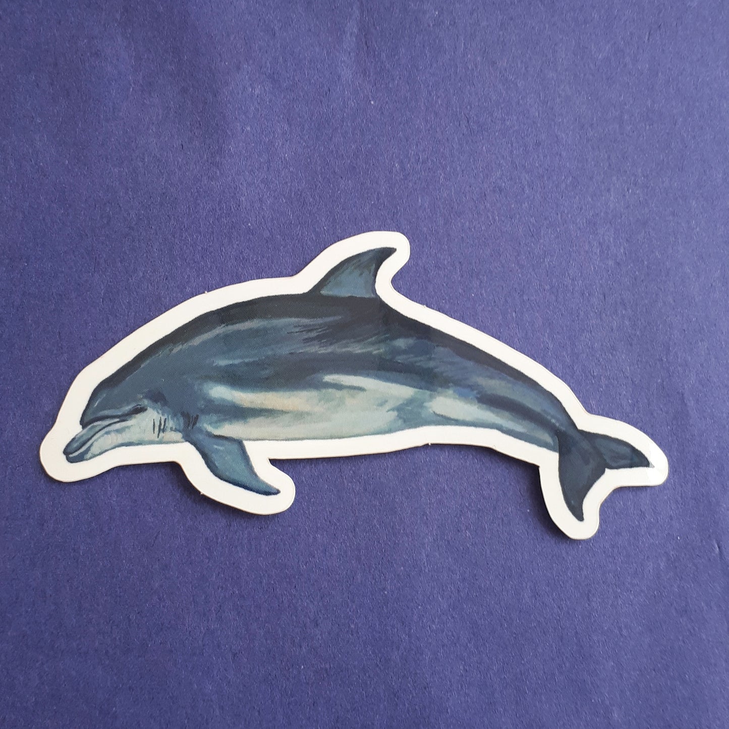 Bottlenose Dolphin Sticker