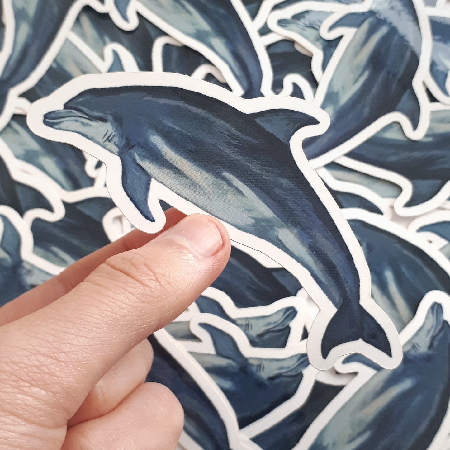 Bottlenose Dolphin Sticker