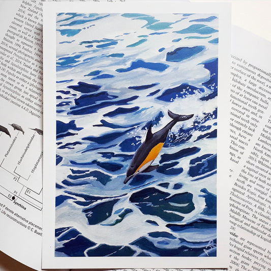 A4/A5 Print Leaping Common Dolphin