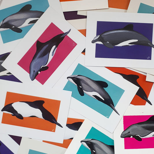 Cephalorhynchus Dolphin Prints A6