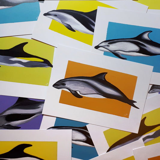 Lagenorhynchus Dolphin Prints A6