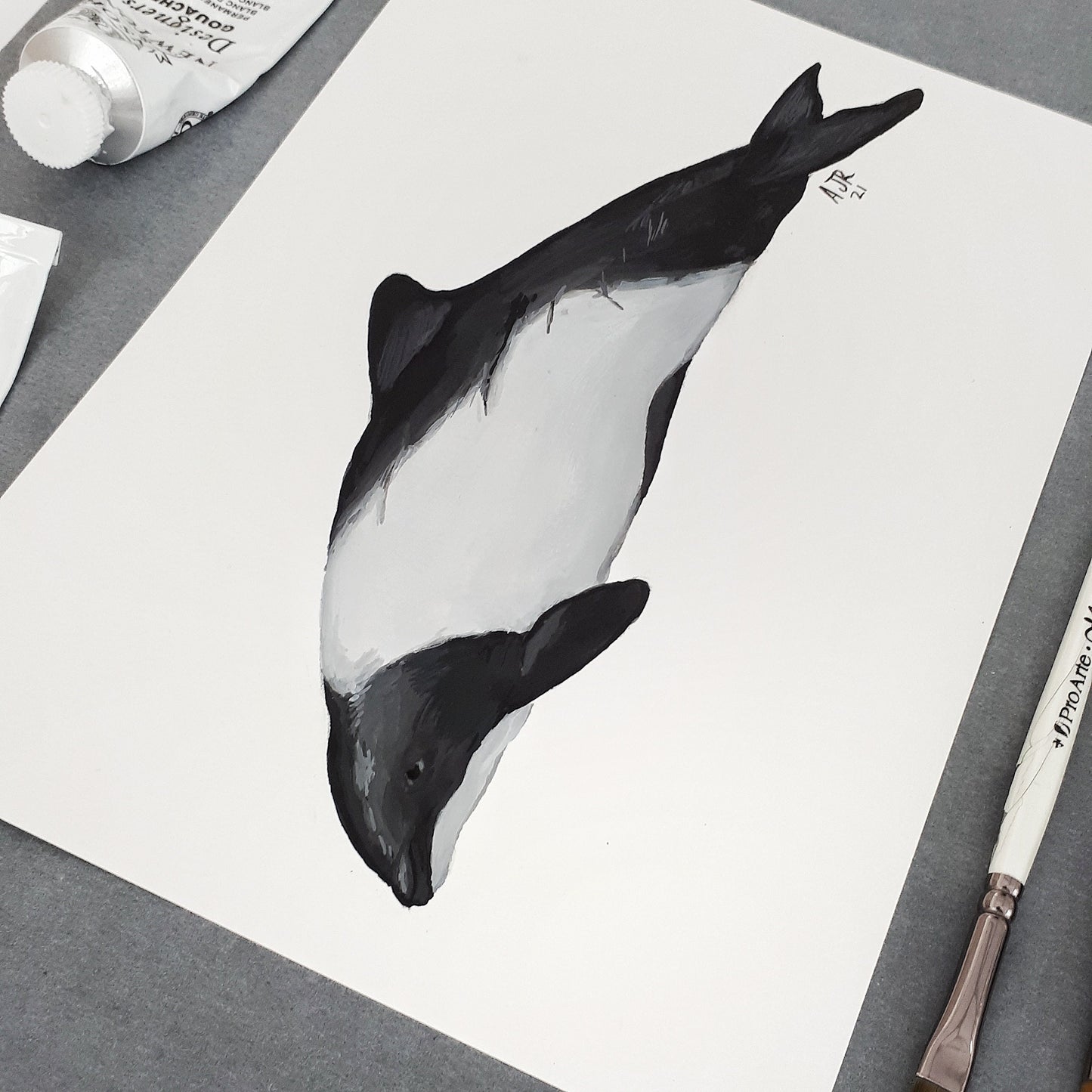 Commerson's Dolphin Gouache A5 Original Painting