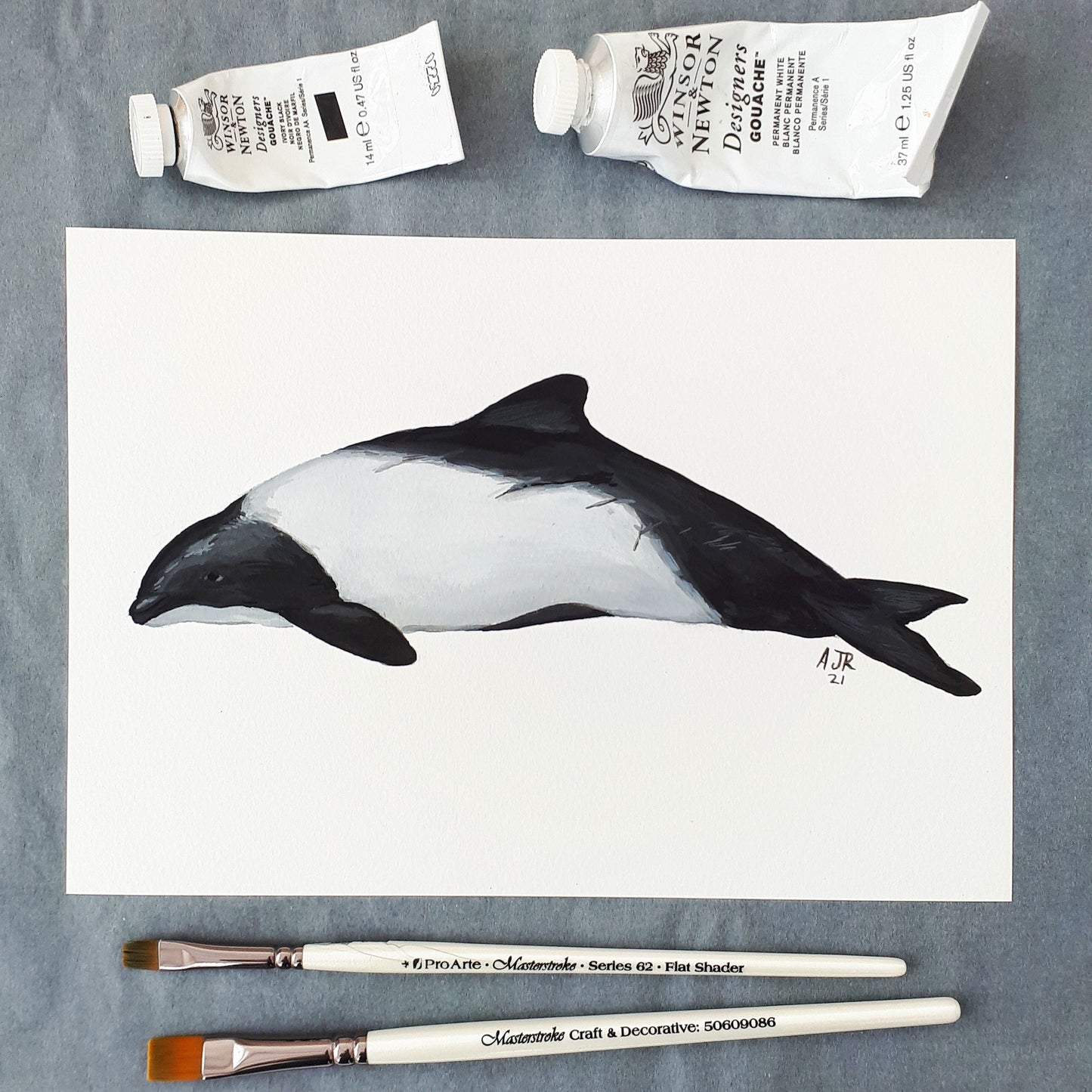 Commerson's Dolphin Gouache A5 Original Painting