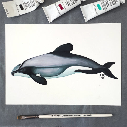 Hector's Dolphin Original Painting