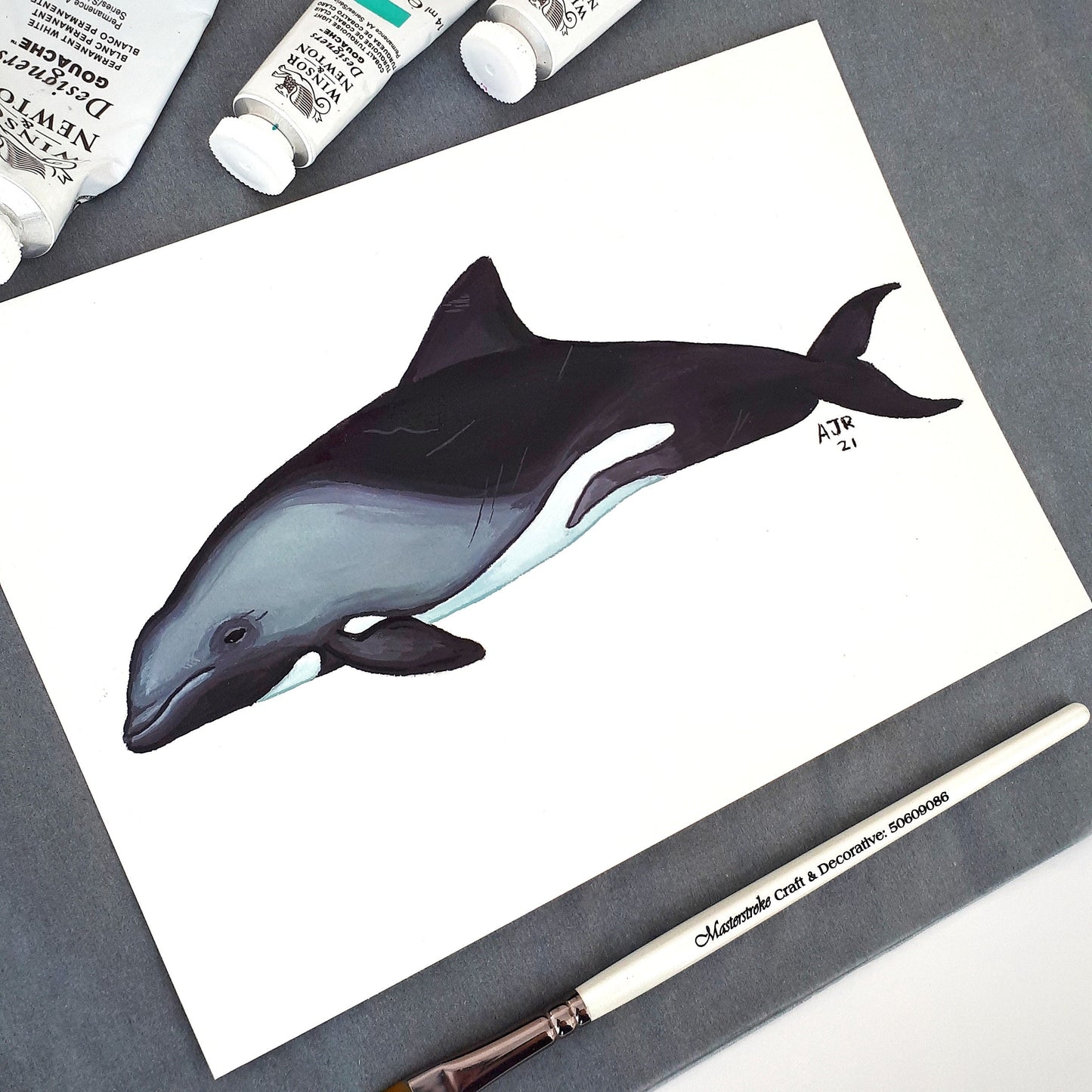 Heaviside's dolphin A5 Original Gouache Painting Wall Art