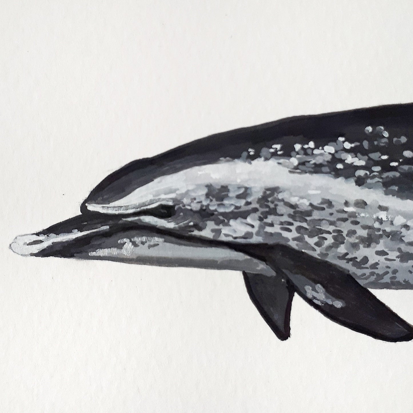 Pantropical Spotted Dolphin Original Painting