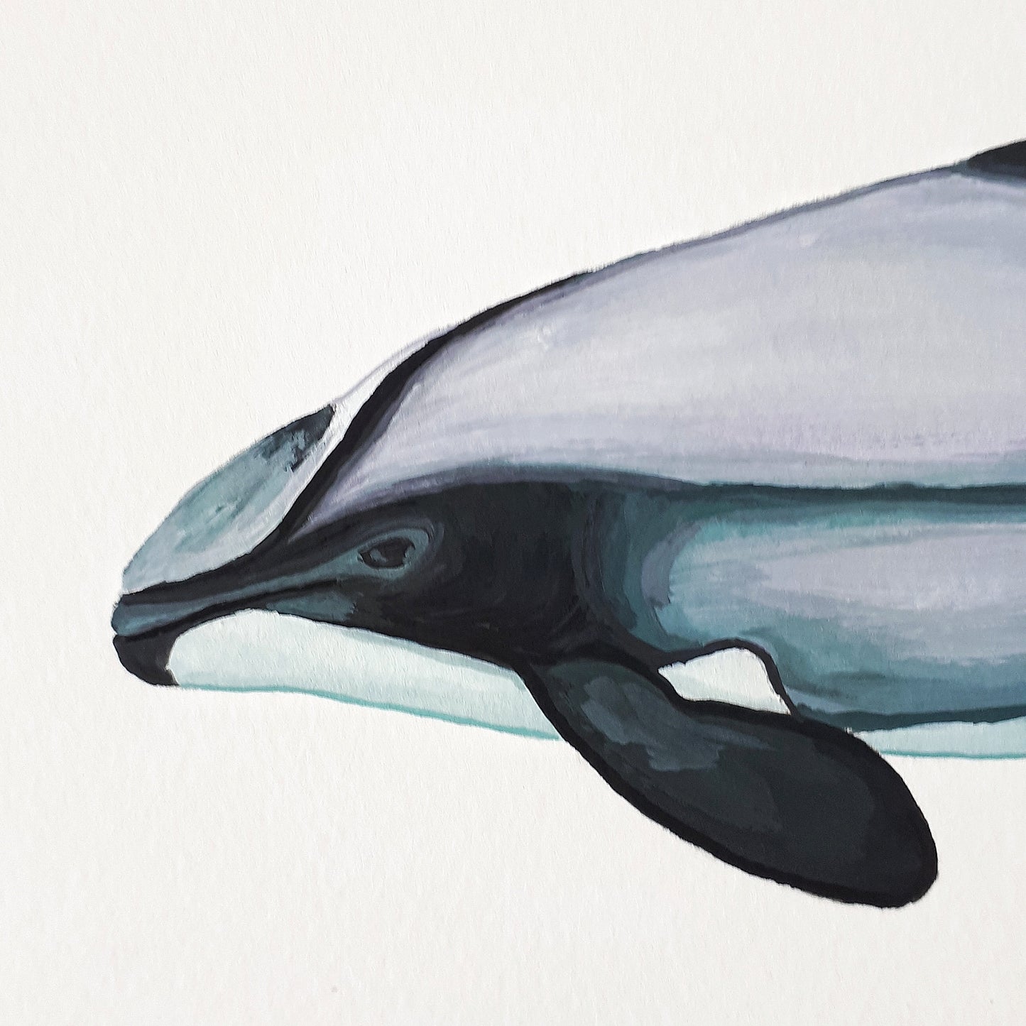 Hector's Dolphin Original Painting