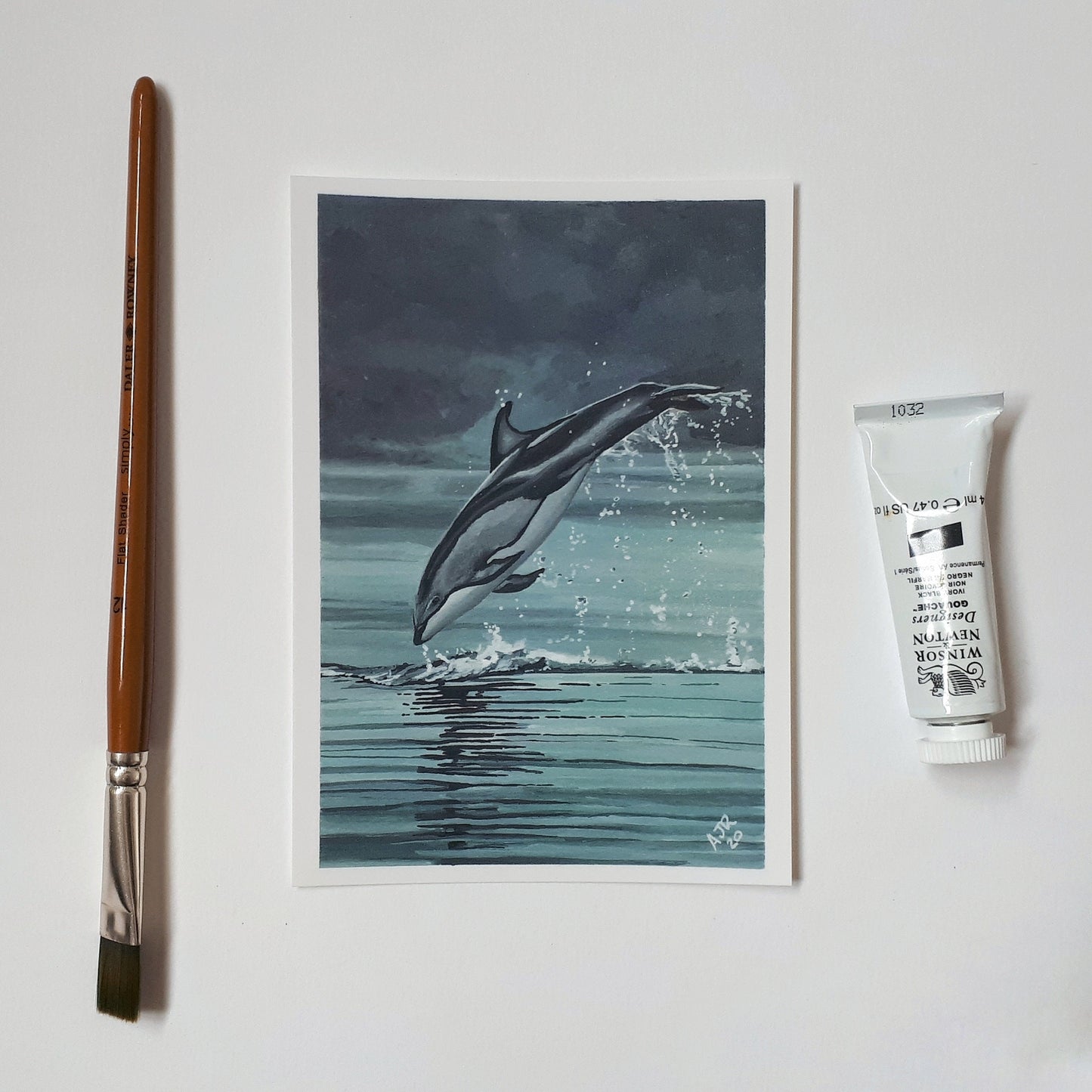 A6 Postcard, Leaping Pacific White Sided Dolphin