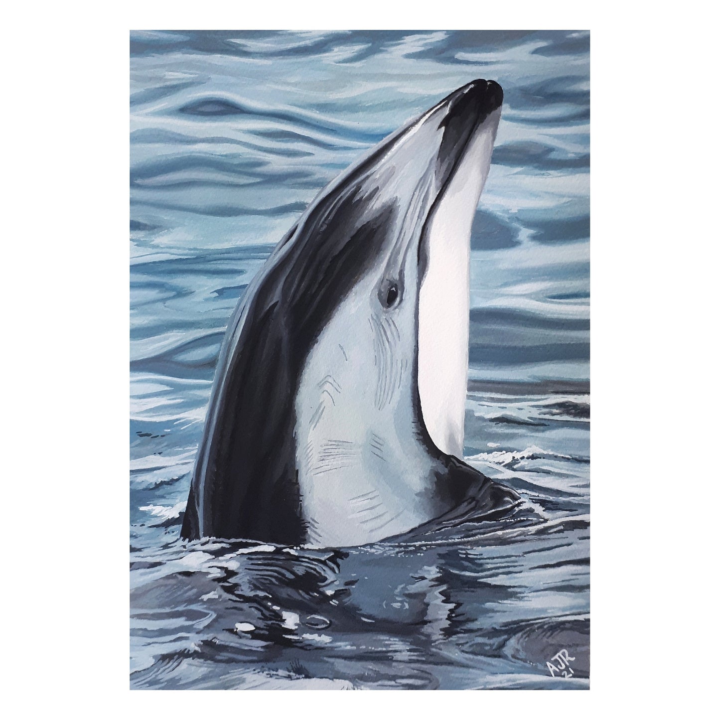 Fundraiser A4 Original Pacific White Sided Dolphin Painting