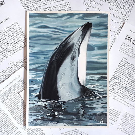 Fundraiser A4 Original Pacific White Sided Dolphin Painting