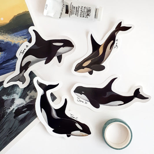 Antarctic Orca Stickers