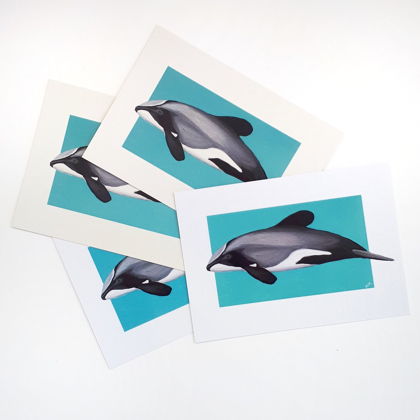 Seconds Sale Dolphin Prints