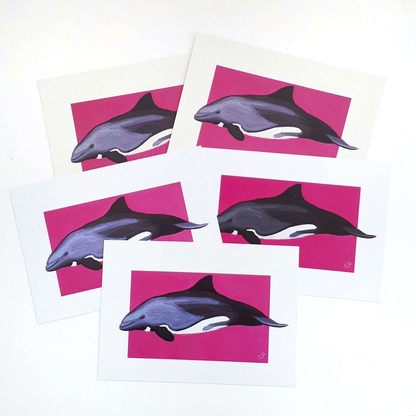 Seconds Sale Dolphin Prints