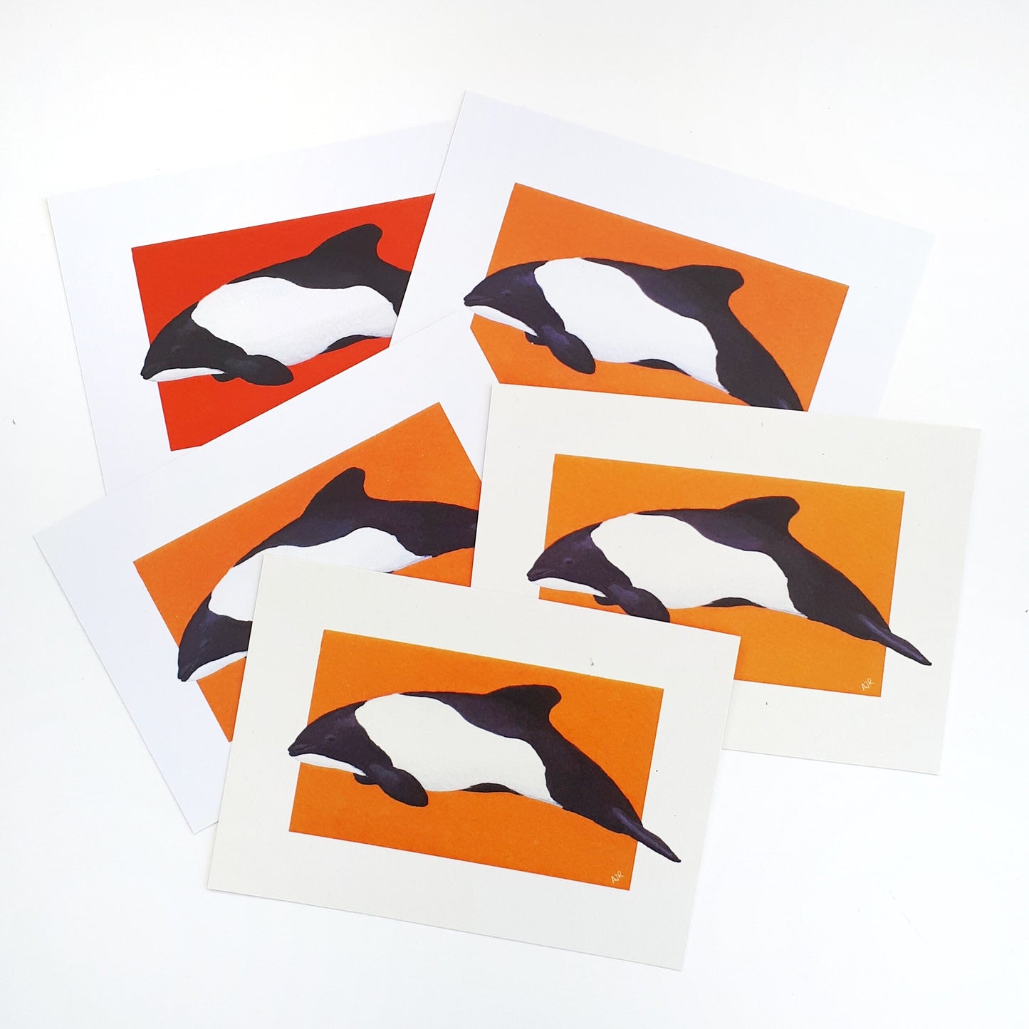 Seconds Sale Dolphin Prints