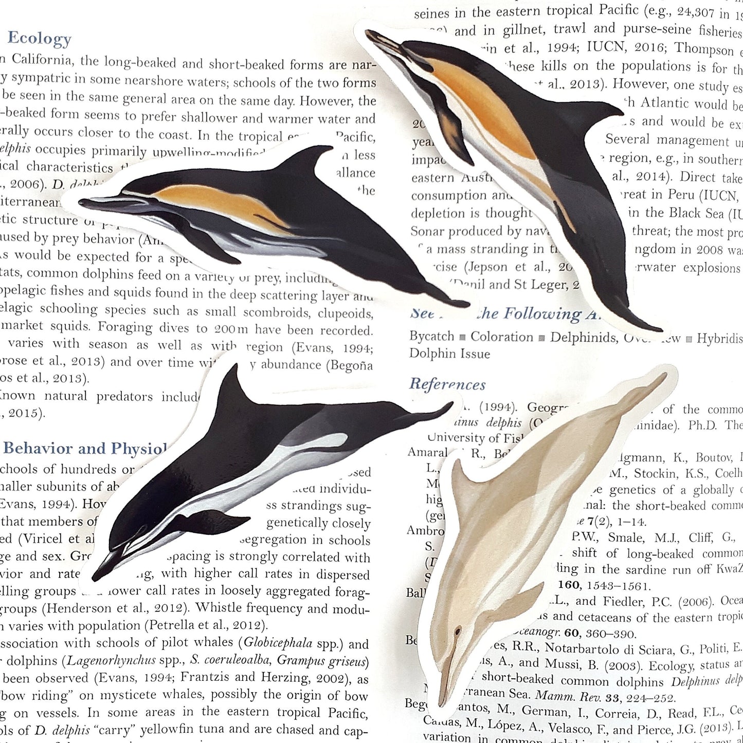 Common Dolphin Stickers