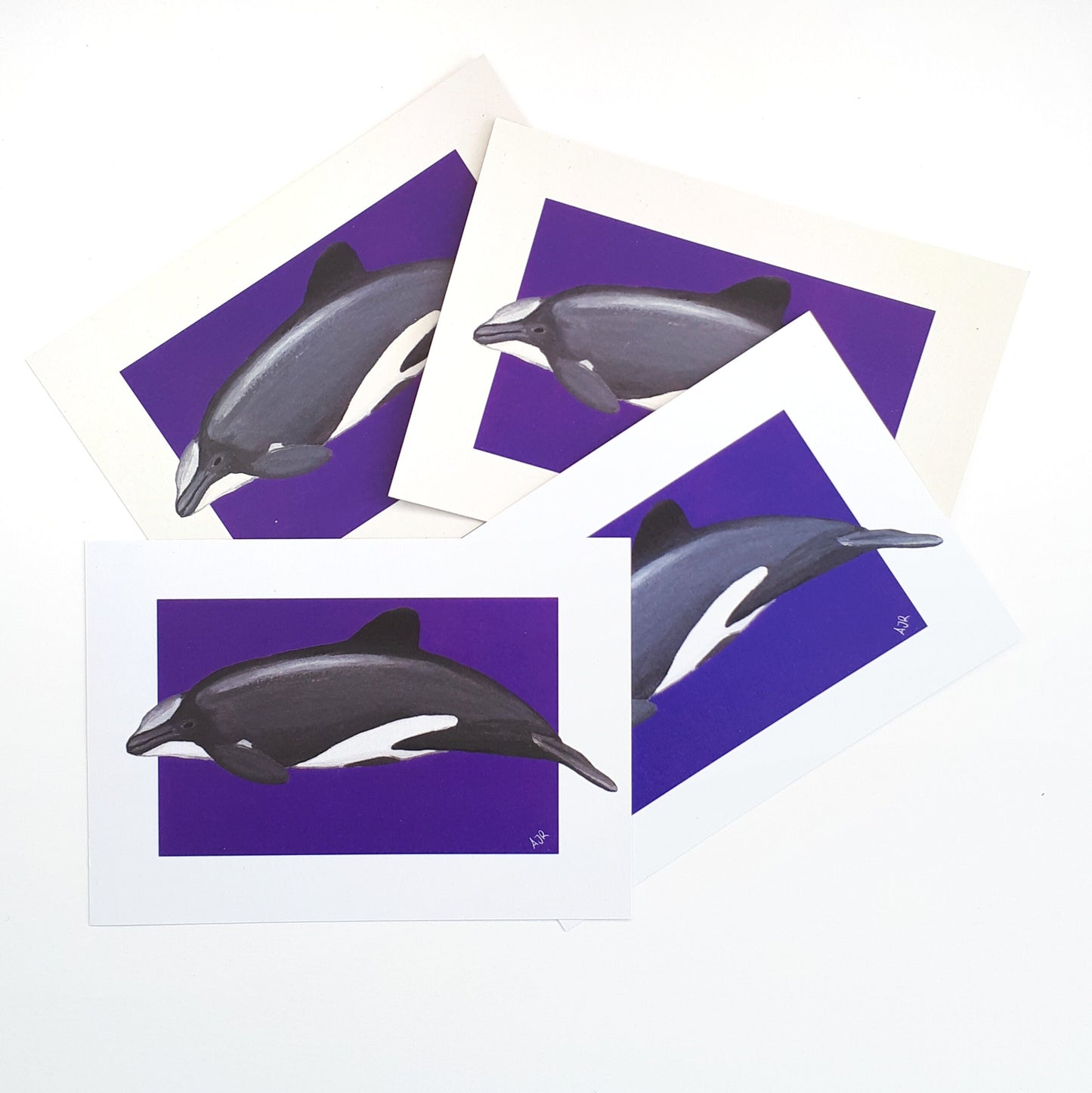 Seconds Sale Dolphin Prints