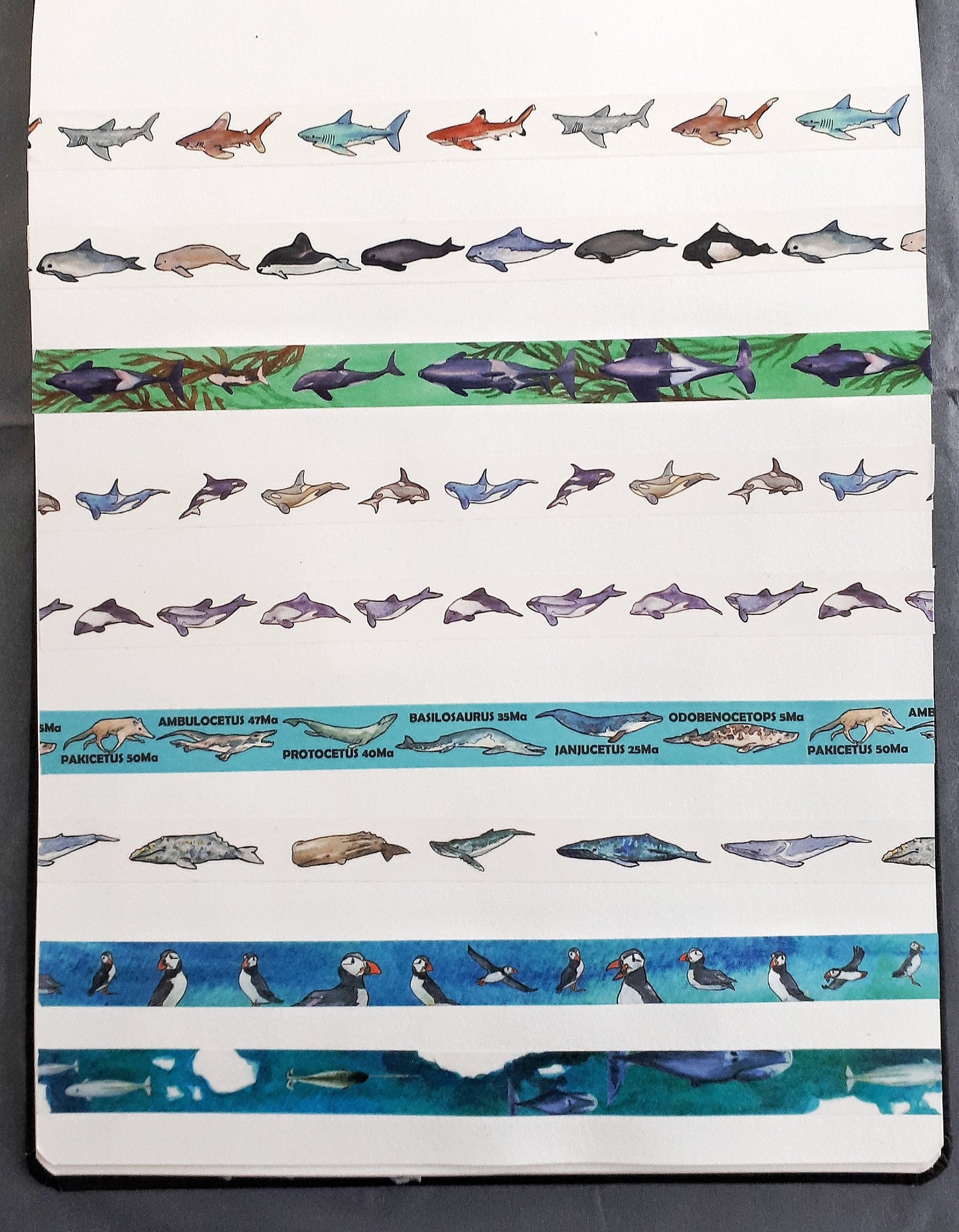 Arctic whales washi tape