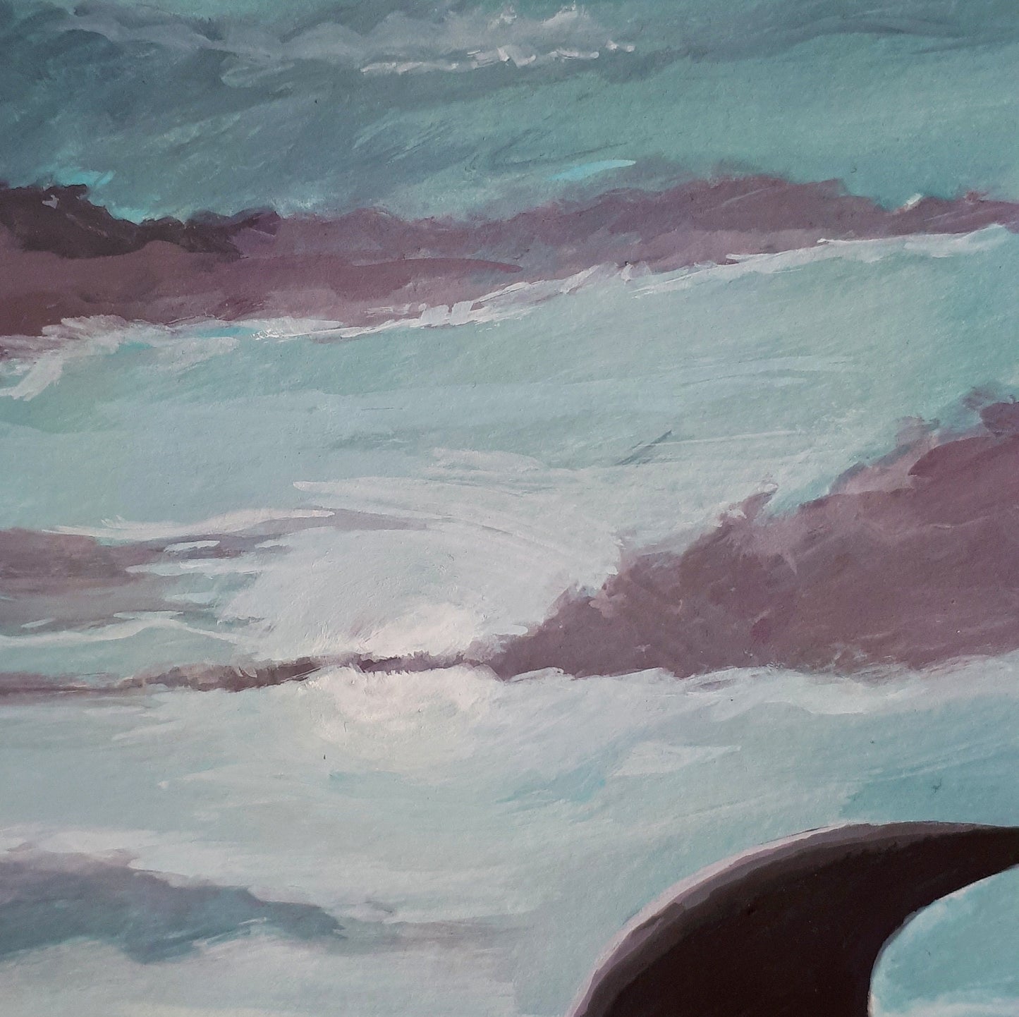 Hourglass Dolphins in Stormy Seas,