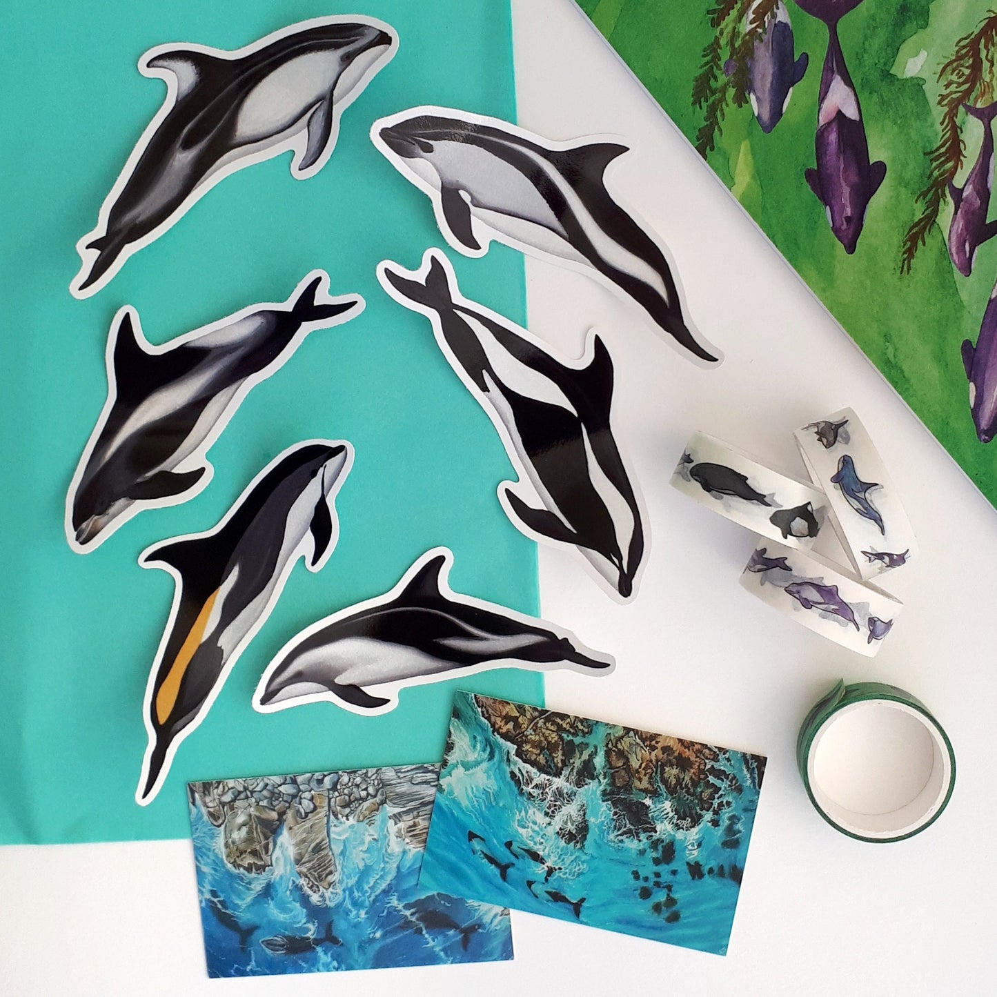 Hourglass Dolphin Sticker