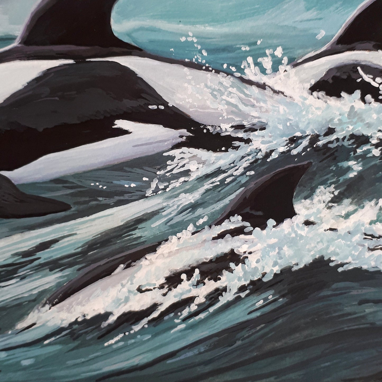 Hourglass Dolphins in Stormy Seas,