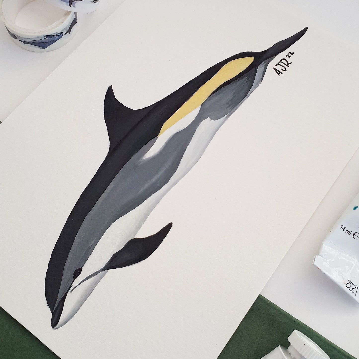 Atlantic White Sided Dolphin