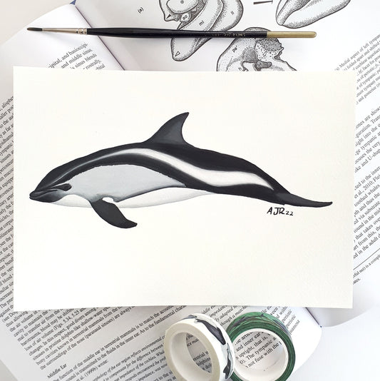 Peale's Dolphin A5 Original Painting