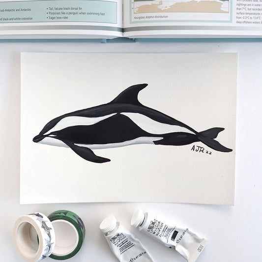 Hourglass Dolphin A5 Original Painting