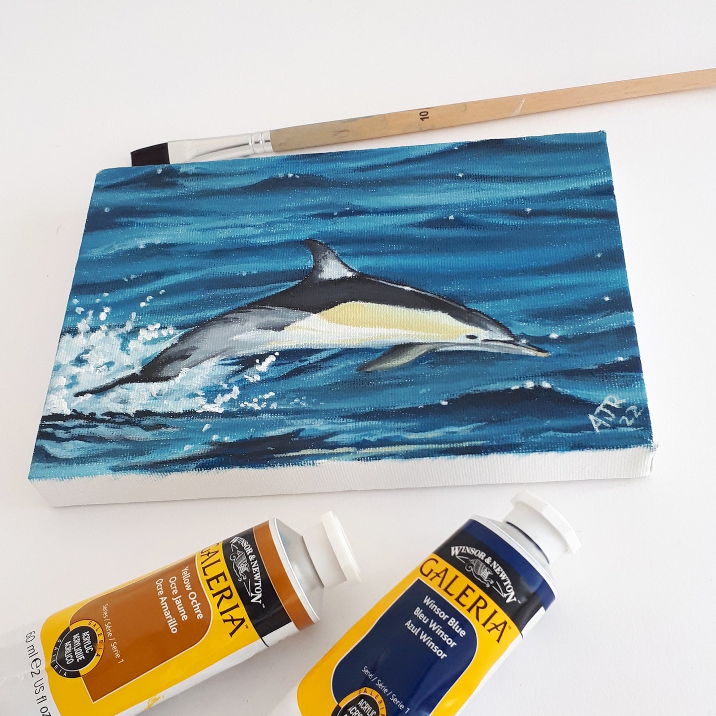 Common Dolphin Acrylic Painting