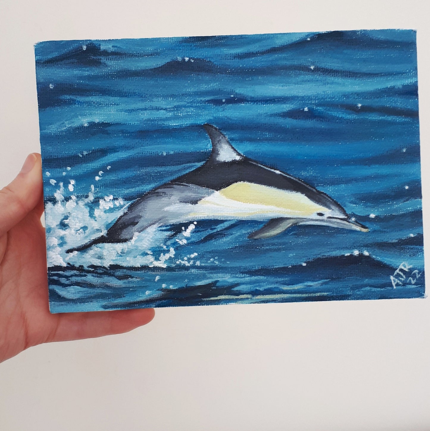 Common Dolphin Acrylic Painting