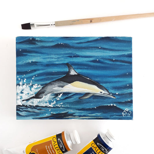 Common Dolphin Acrylic Painting