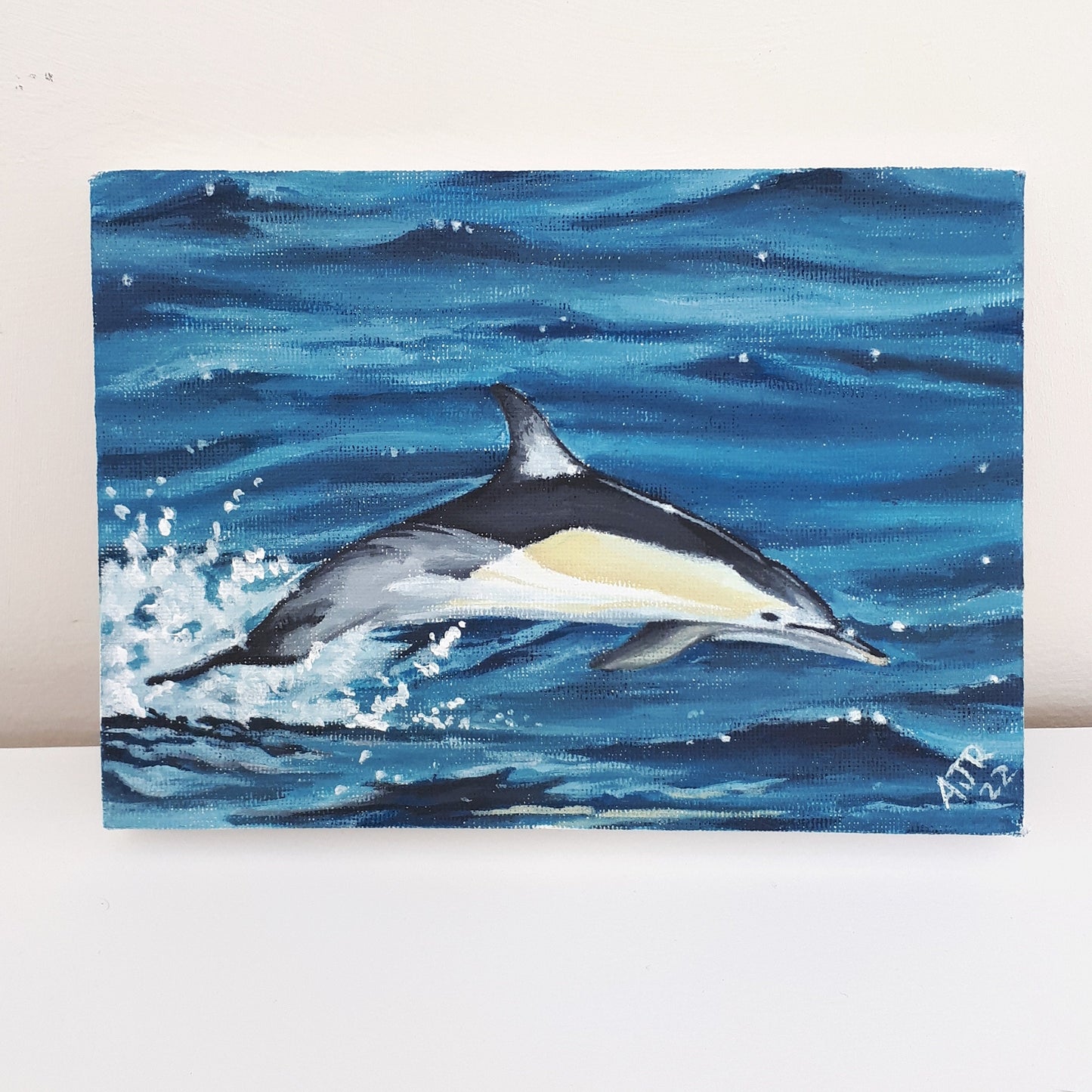 Common Dolphin Acrylic Painting