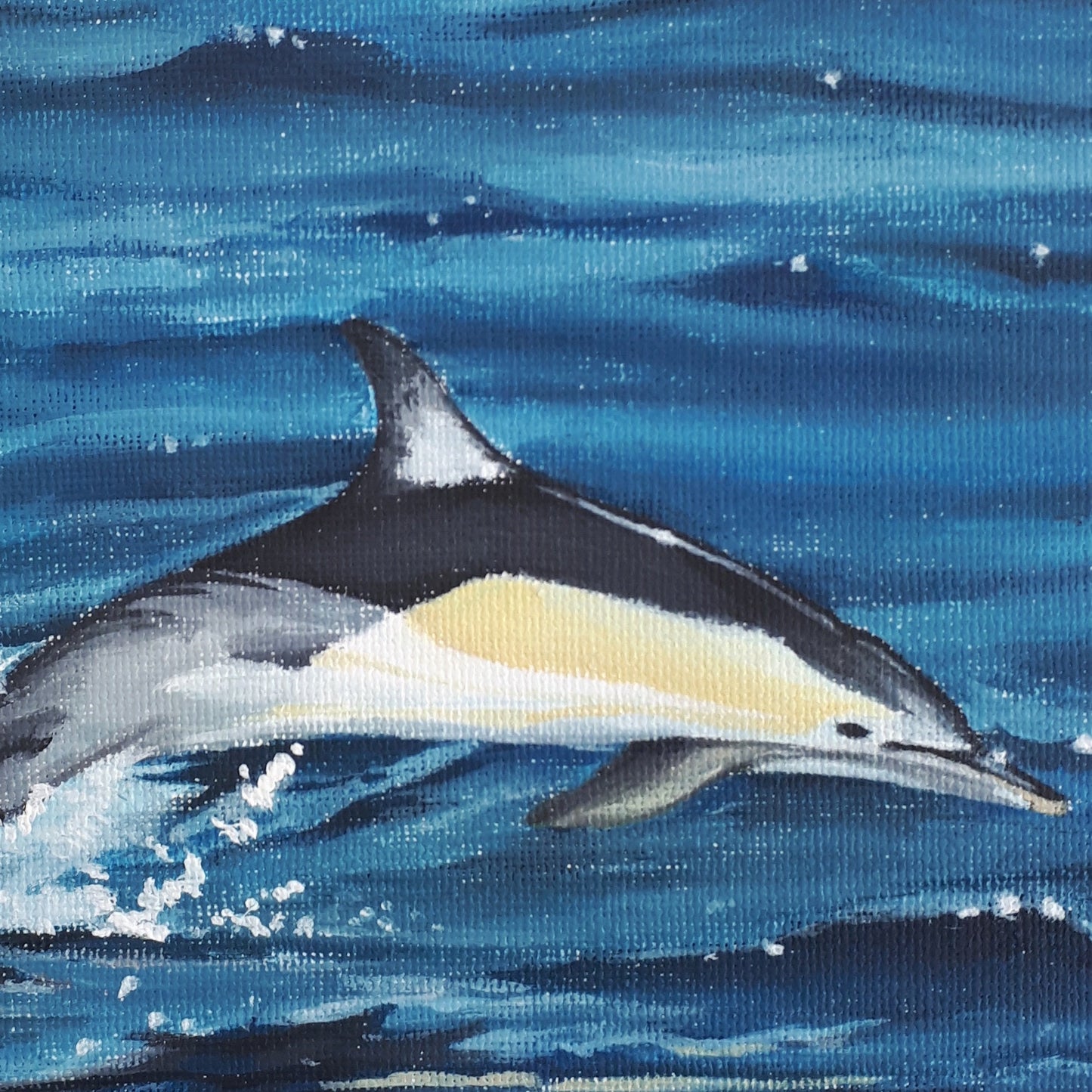 Common Dolphin Acrylic Painting